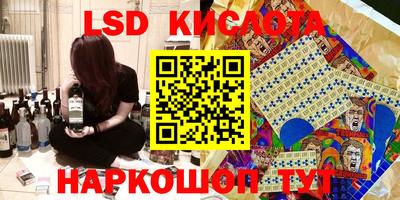 амф Камышлов