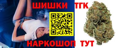 амф Камышлов