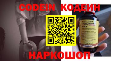 амф Камышлов